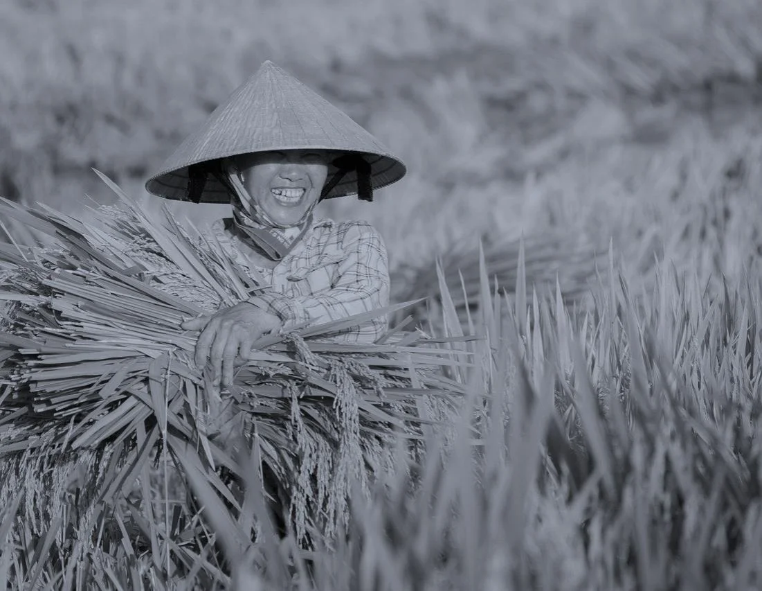 Local farmer in agricultural landscape