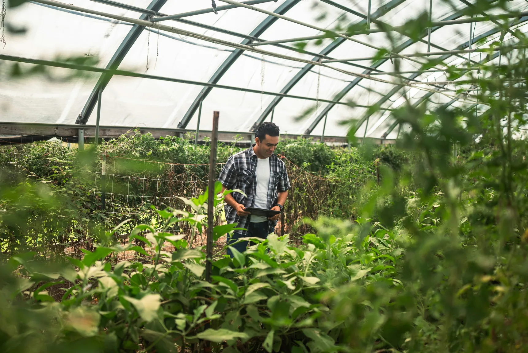 Sustainable agricultural landscape