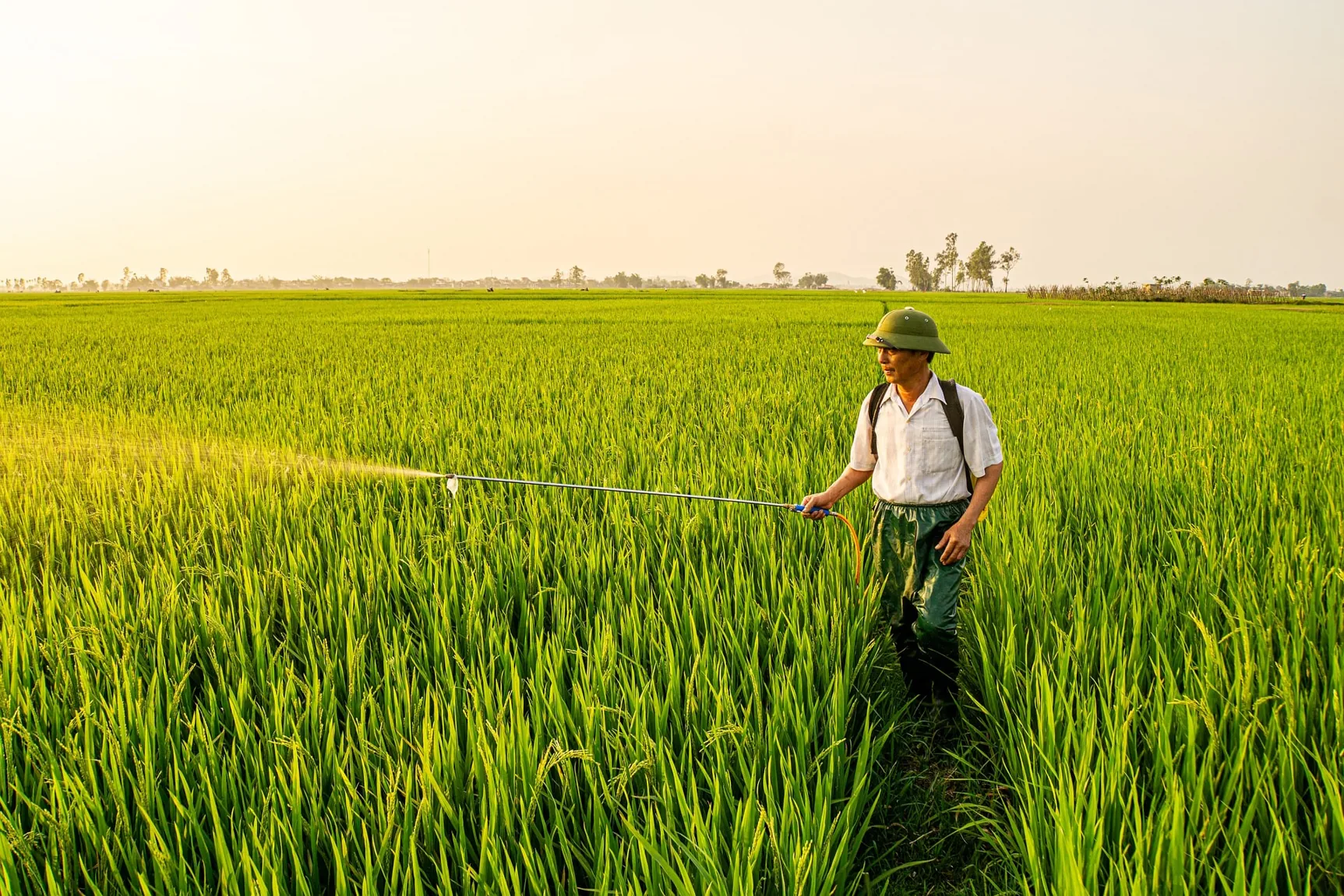 Sustainable farming landscape