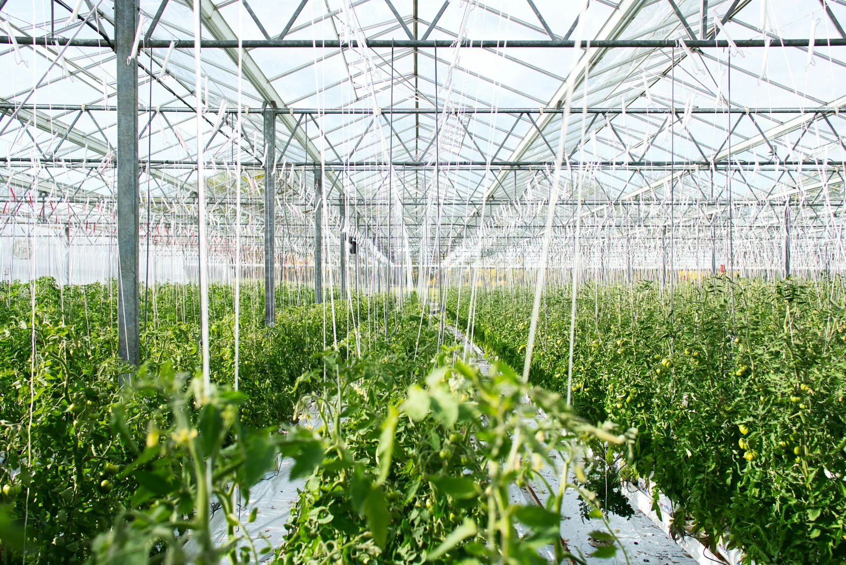 Land and agriculture