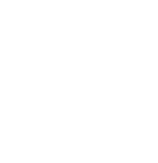 Lestara Advisory icon